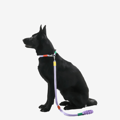 Marshmallow Dog Collar + Leash Set - RichBowel