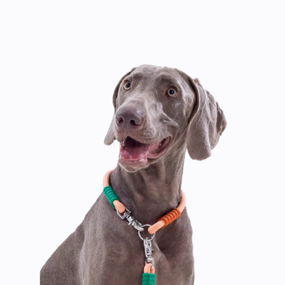 Marshmallow Dog Collar + Leash Set - RichBowel