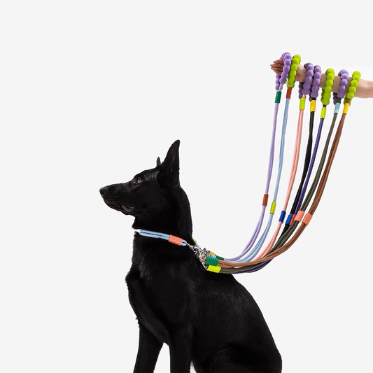 Marshmallow Dog Collar + Leash Set - RichBowel