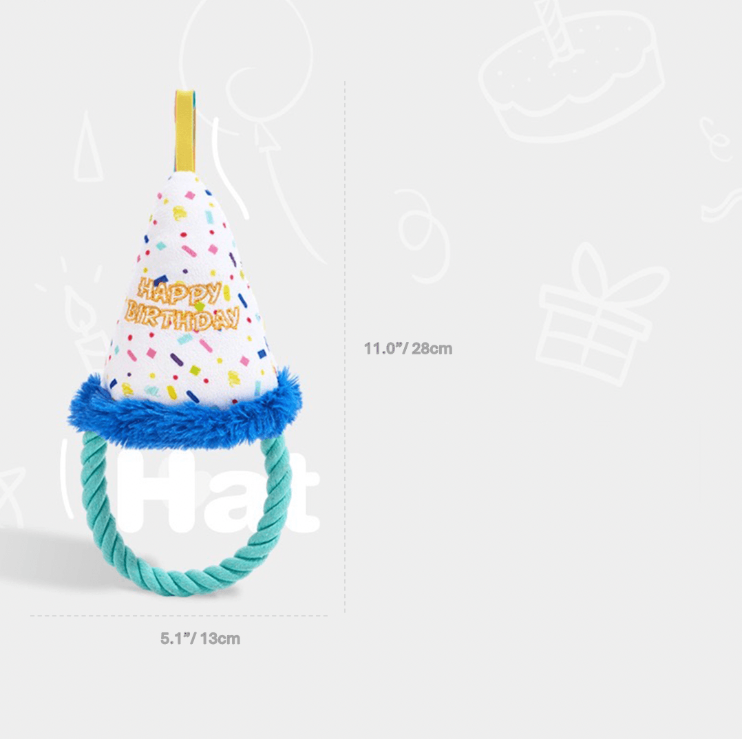 Fofos Birthday Hat - RichBowel