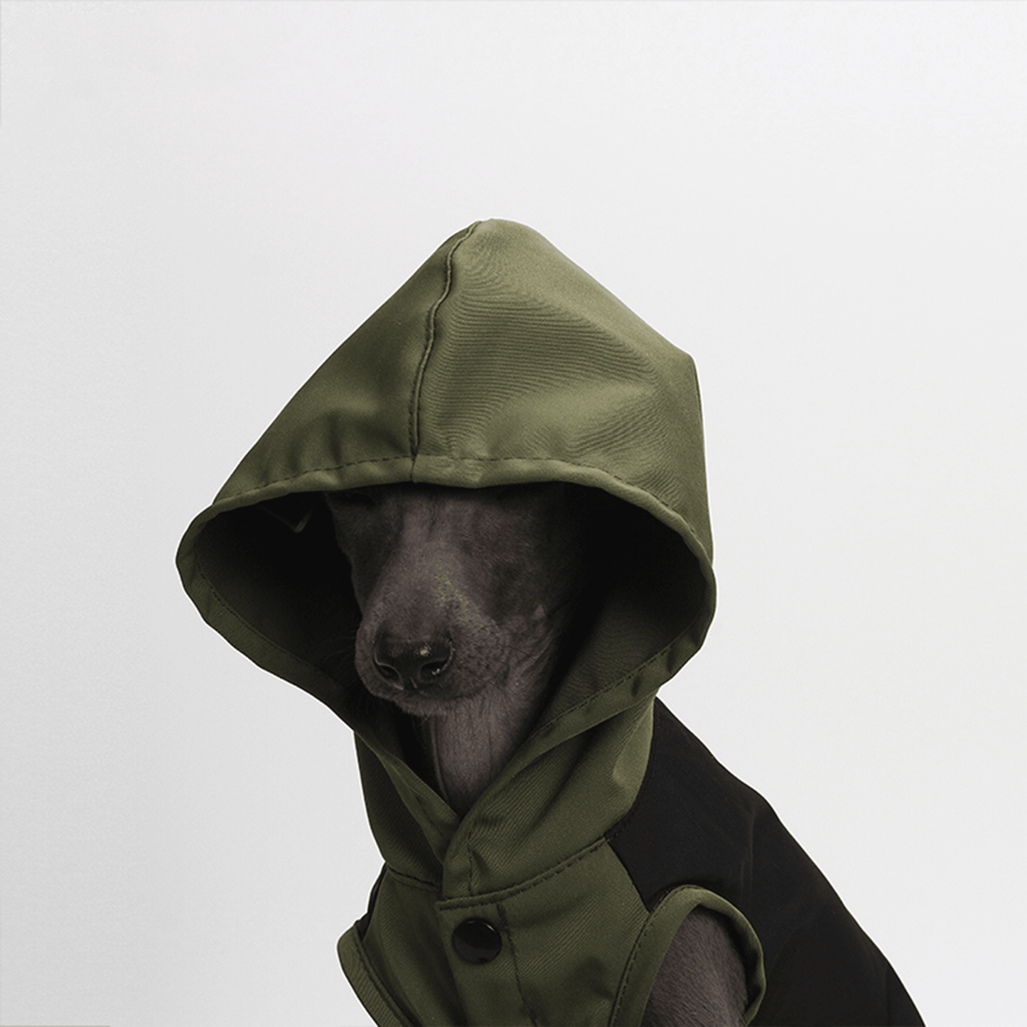 Raincoat Trailblazer Green - RichBowel