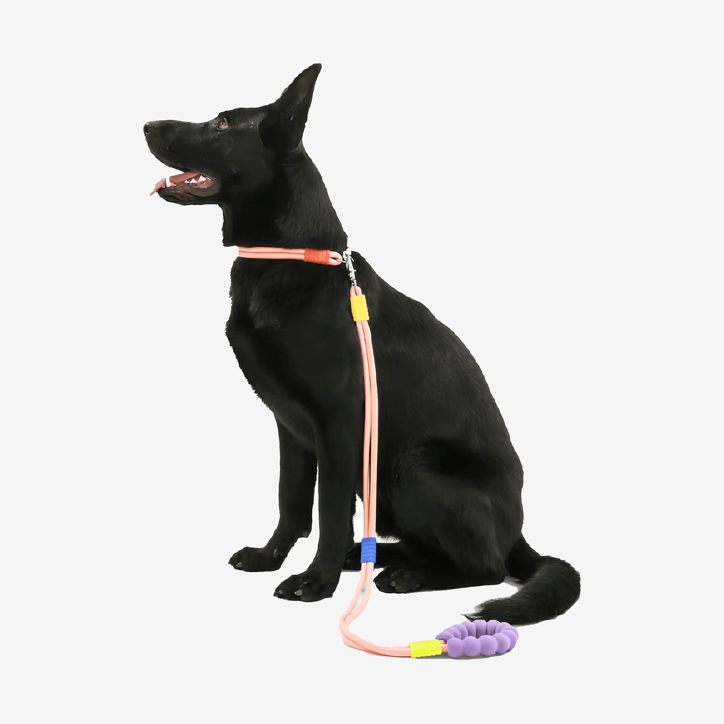 Marshmallow Dog Collar + Leash Set - RichBowel